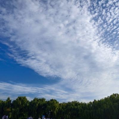 元素地牢华为服下载